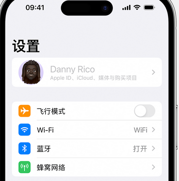 平山appleID维修服务iPhone设置中Apple ID显示为灰色无法使用 