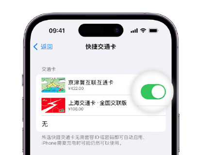 平山apple维修点分享iPhone上更换Apple Pay快捷交通卡手绘卡面 