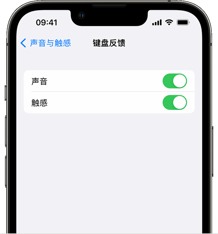 平山苹果14维修分享iPhone 14 系列机型如何开启键盘声音或触感反馈 