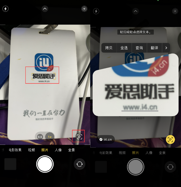 平山苹果手机维修分享升级iOS 16后如何通过相机翻译文本 