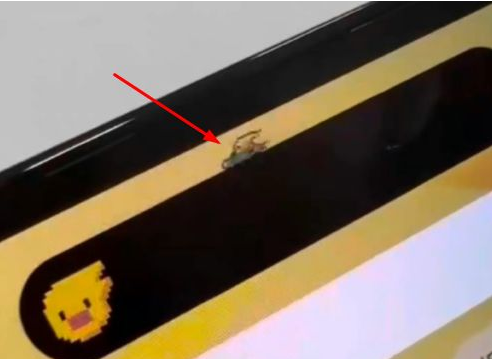 平山苹果14维修分享iPhone 14 Pro Max灵动岛怎么养宠物 