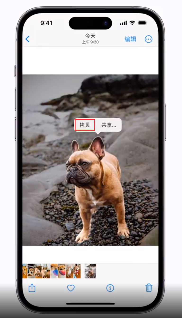 平山苹果手机维修分享 iOS 16 自带一键抠图功能 