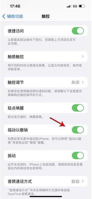 平山苹果手机维修分享iPhone手机如何设置摇一摇删除文字 