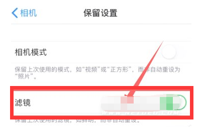 平山苹果13维修分享iPhone13拍照有绿点是怎么回事 