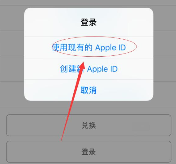 平山苹果手机维修分享两台iPhone设备可以同时登录一个Apple ID吗 