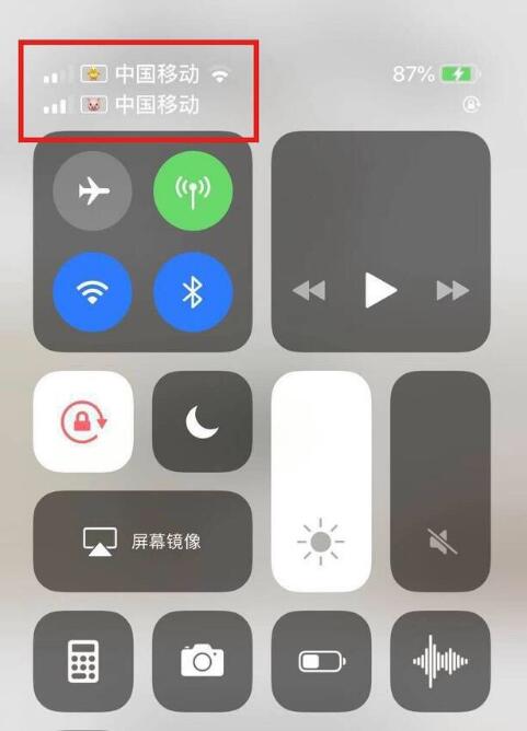 平山苹果手机维修分享为 iPhone 12 双卡设置标签 